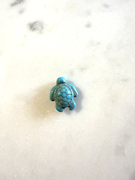 Turquoise schildpad kraal