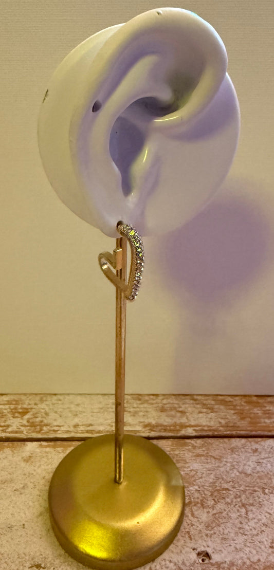 Bling Bling heart Earring